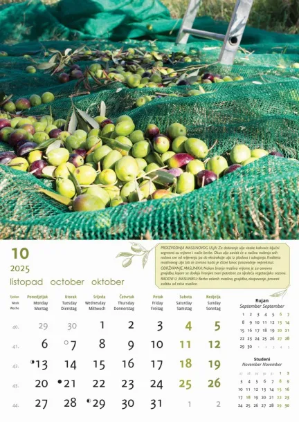  "MASLINE" color calendar Color