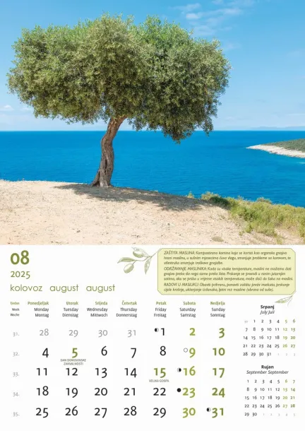  "MASLINE" color kalendar Color