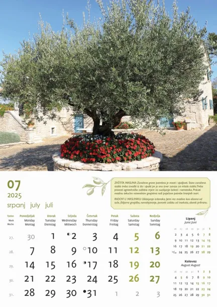  "MASLINE" color calendar Color