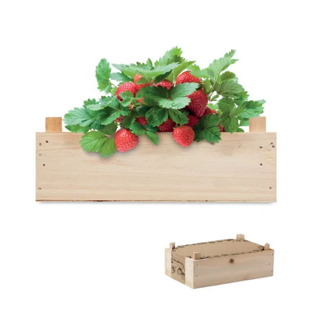 STRAWBERRY Strawberry kit in wooden crate Wood