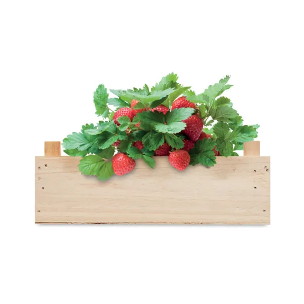 STRAWBERRY Strawberry kit in wooden crate Wood