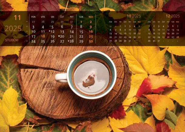  "JUST RELAX" color calendar Color