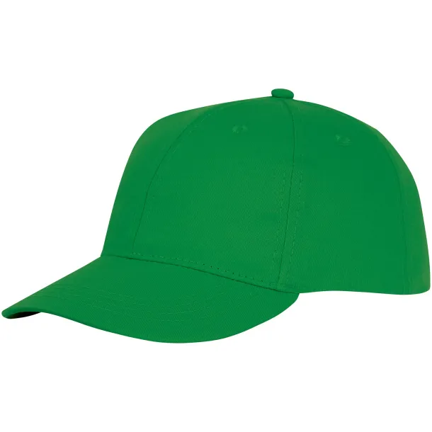 Ares 6 panel cap - Elevate Essentials Fern green