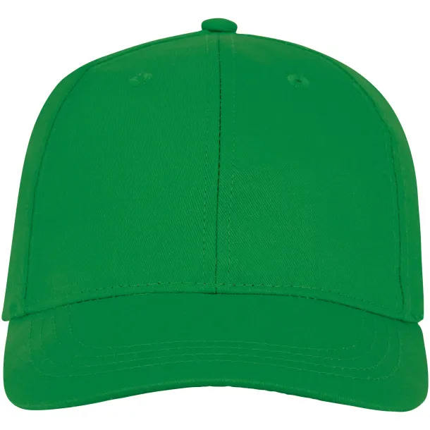 Ares 6 panel cap - Elevate Essentials Fern green