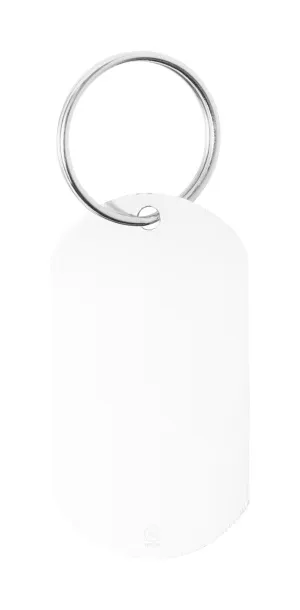 Mailtek keyring Silver