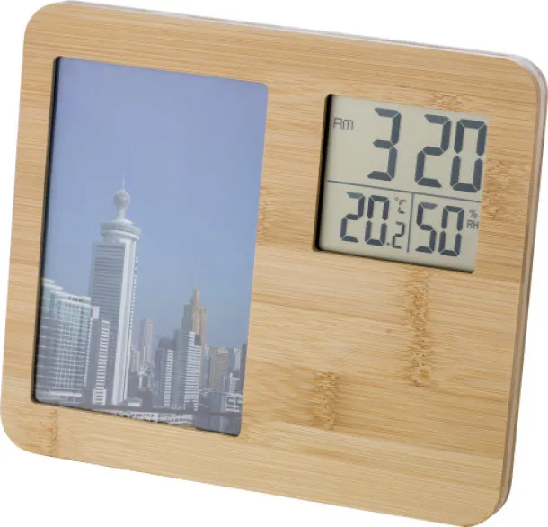  Bamboo weather station Colton