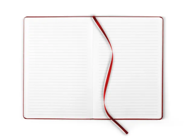 NOTE AB Anit-bakterijski A5 notes - PRO BOOK Red