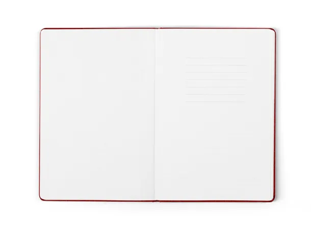 NOTE AB Anit-bakterijski A5 notes - PRO BOOK Red