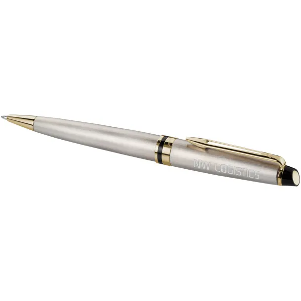 Expert ballpoint pen - Waterman Steel Gold