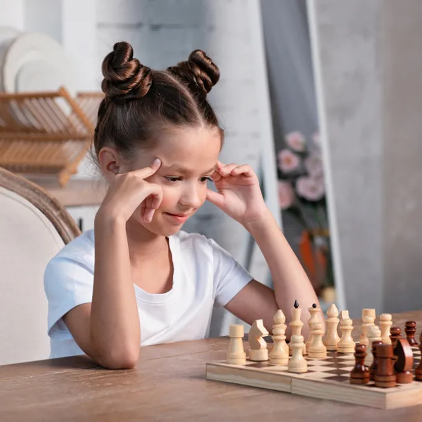 CHESS Šah Smeđa