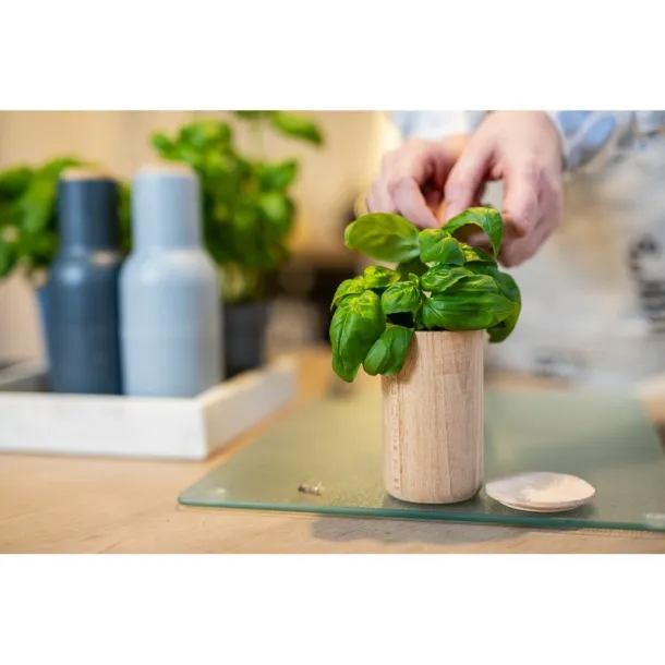  Wooden pot, basil seeds and soil neutral