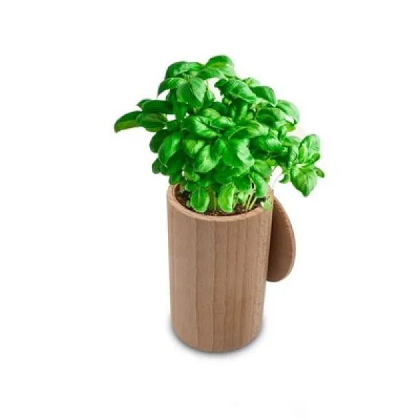  Wooden pot, basil seeds and soil neutral