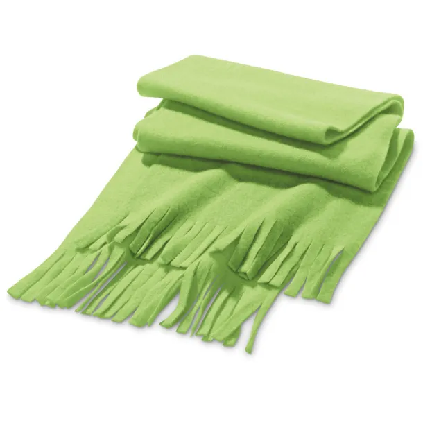 JASON Scarf Light green