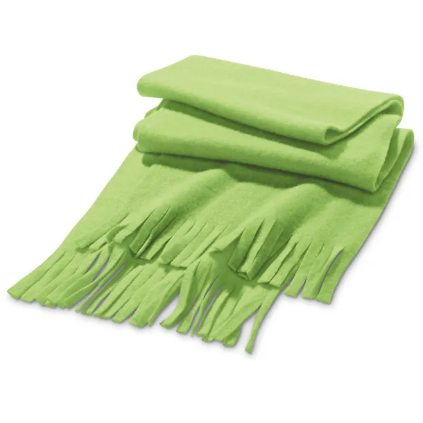 JASON Scarf Light green