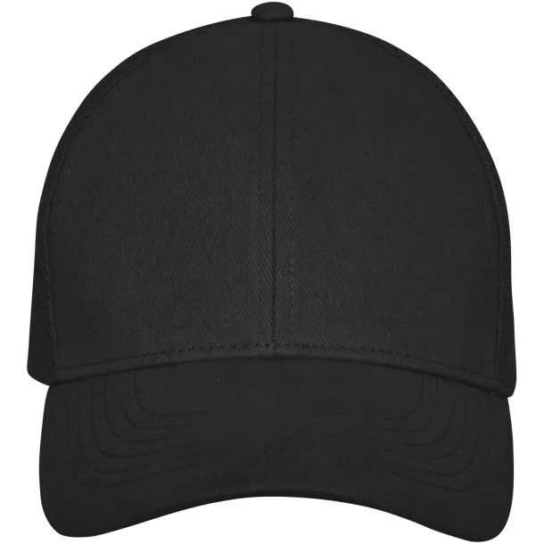 Drake 6 panel trucker cap - Elevate Life Solid black