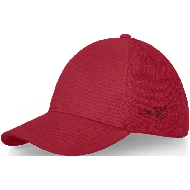 Drake 6 panel trucker cap - Elevate Life Red