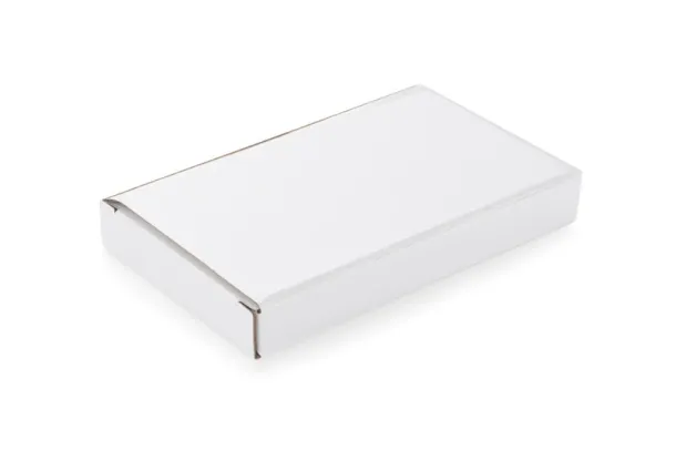 PROBE USB Light srebrny