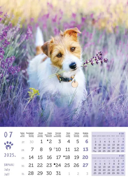  "PSI i MAČKE" color kalendar Color