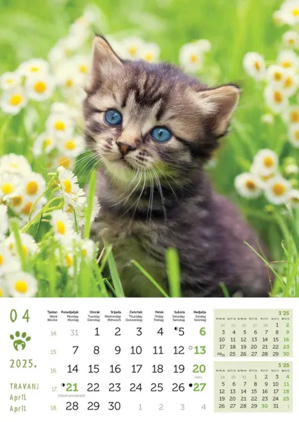  "PSI i MAČKE" color kalendar Color