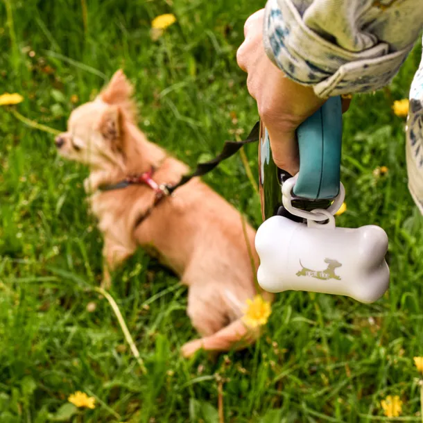 NEAT DOG tray with dog walking bags White