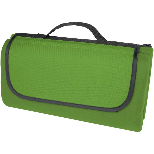 Salvie recycled plastic picnic blanket Green