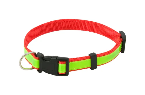 Muttley visibility dog's collar Red