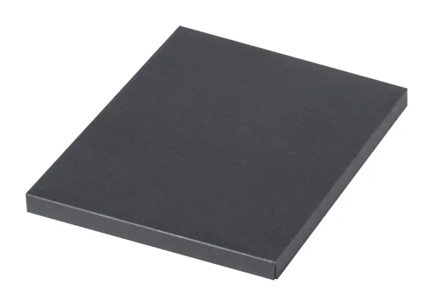 Spinosa notebook set Grey