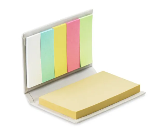 LECTURE Sticky notes White