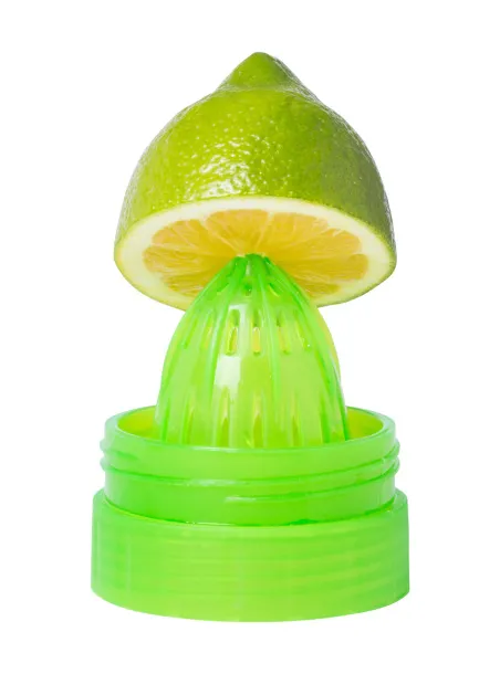 Selmy sport bottle Green