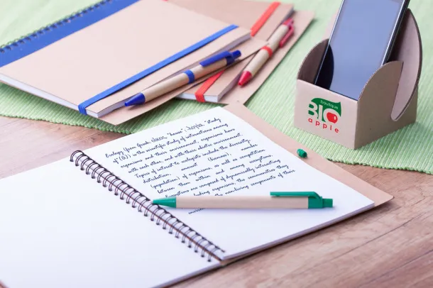 Platanus notebook Green Natural