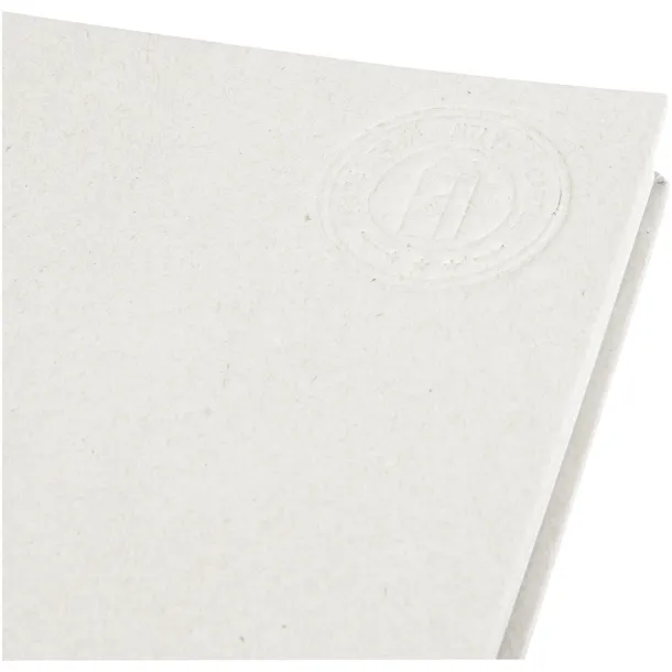 Dairy Dream A5 size reference spiral notebook Ivory white