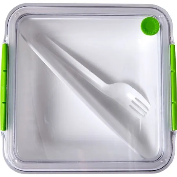  Lunch box 920 ml, fork light green