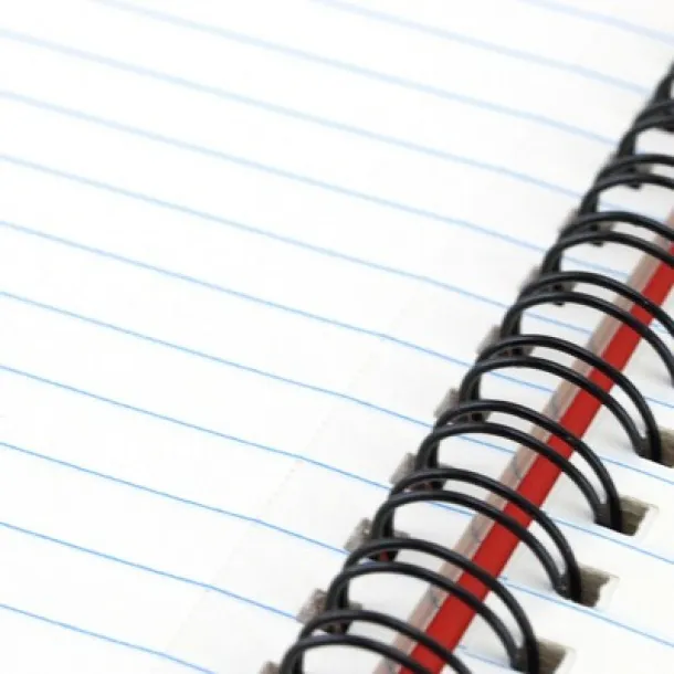  Notebook approx. A5 Crvena