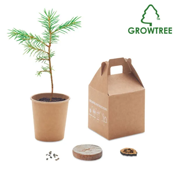 GROWTREE™ set sa sjemenom bora Bež