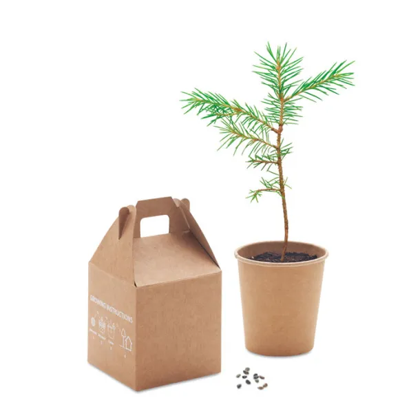 GROWTREE™ Pine tree set Beige