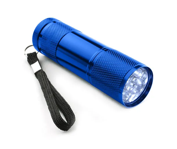 RAY Flashlight Blue