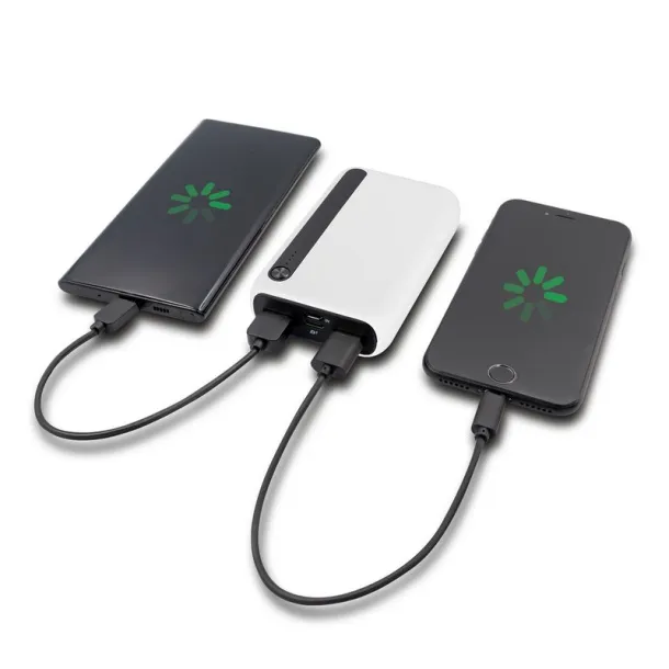 Dashonte Power bank 10000 mAh Bijela