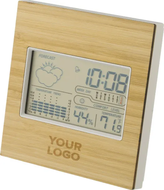  Bamboo weather station Lia