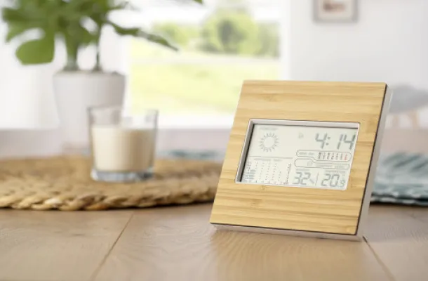 Lia Bamboo weather station
