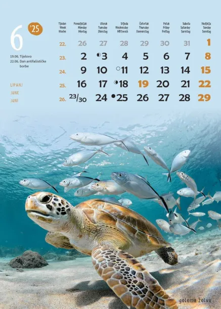  "ŽIVOTINJE" color kalendar Color