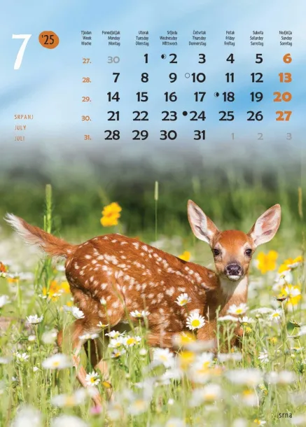  "ŽIVOTINJE" color kalendar Color