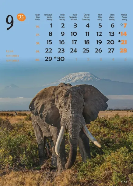  "ŽIVOTINJE" color kalendar Color