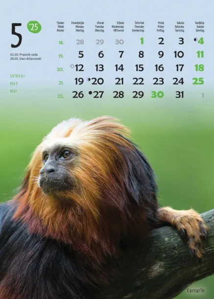  "ŽIVOTINJE" color kalendar Color