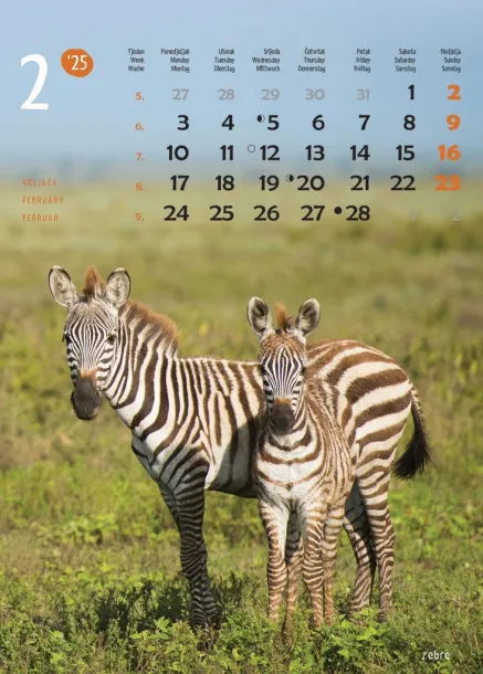  "ŽIVOTINJE" color kalendar Color