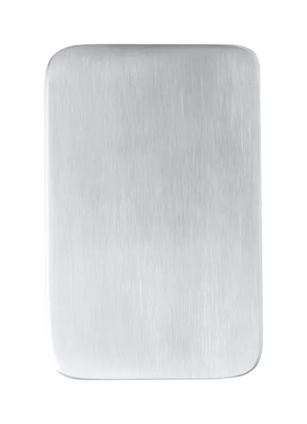 Newin power bank Silver