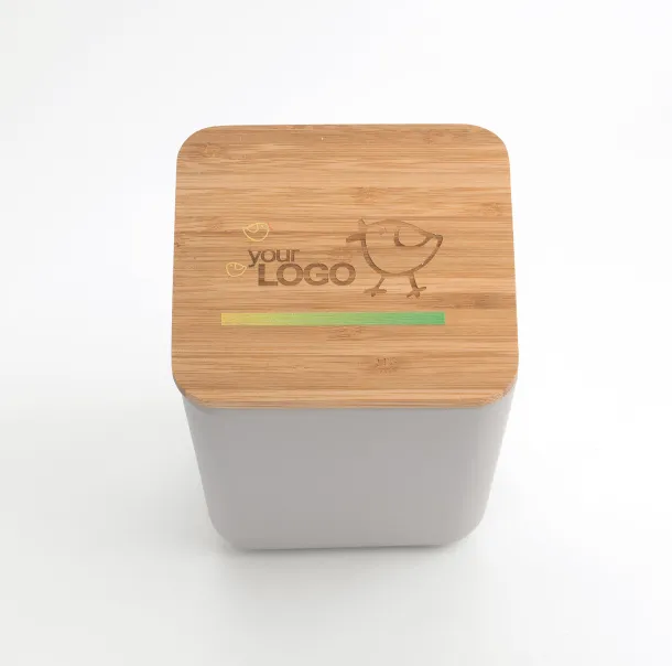VESO Container Siva