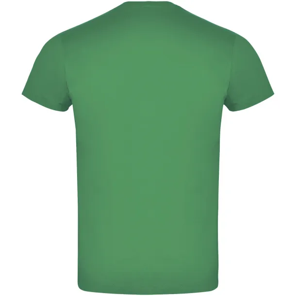 Atomic short sleeve unisex t-shirt - Roly Kelly Green