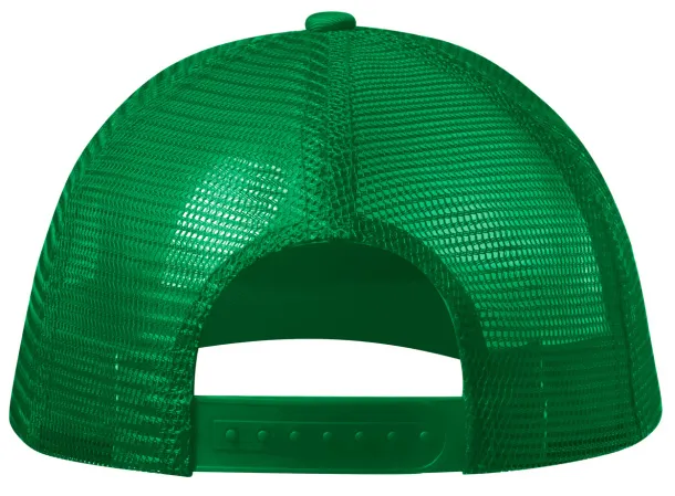 Cameron baseball cap Green