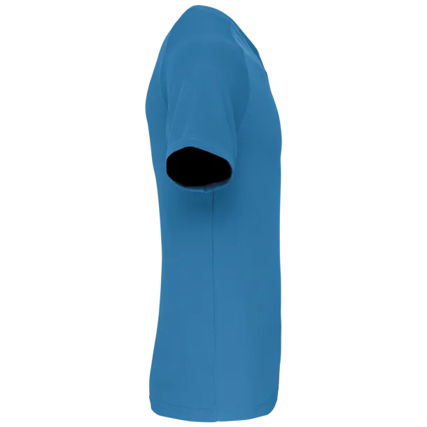  MEN’S V-NECK SHORT SLEEVE SPORTS T-SHIRT - Proact Heather Sapphire