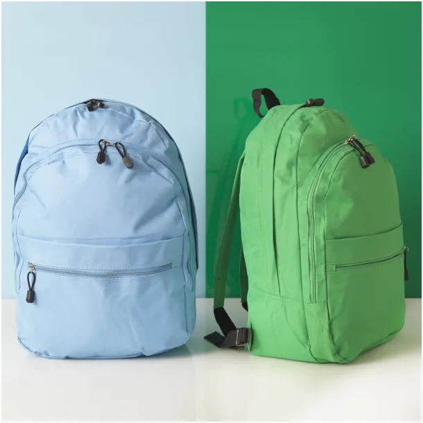 Trend 4-compartment backpack Transparent green